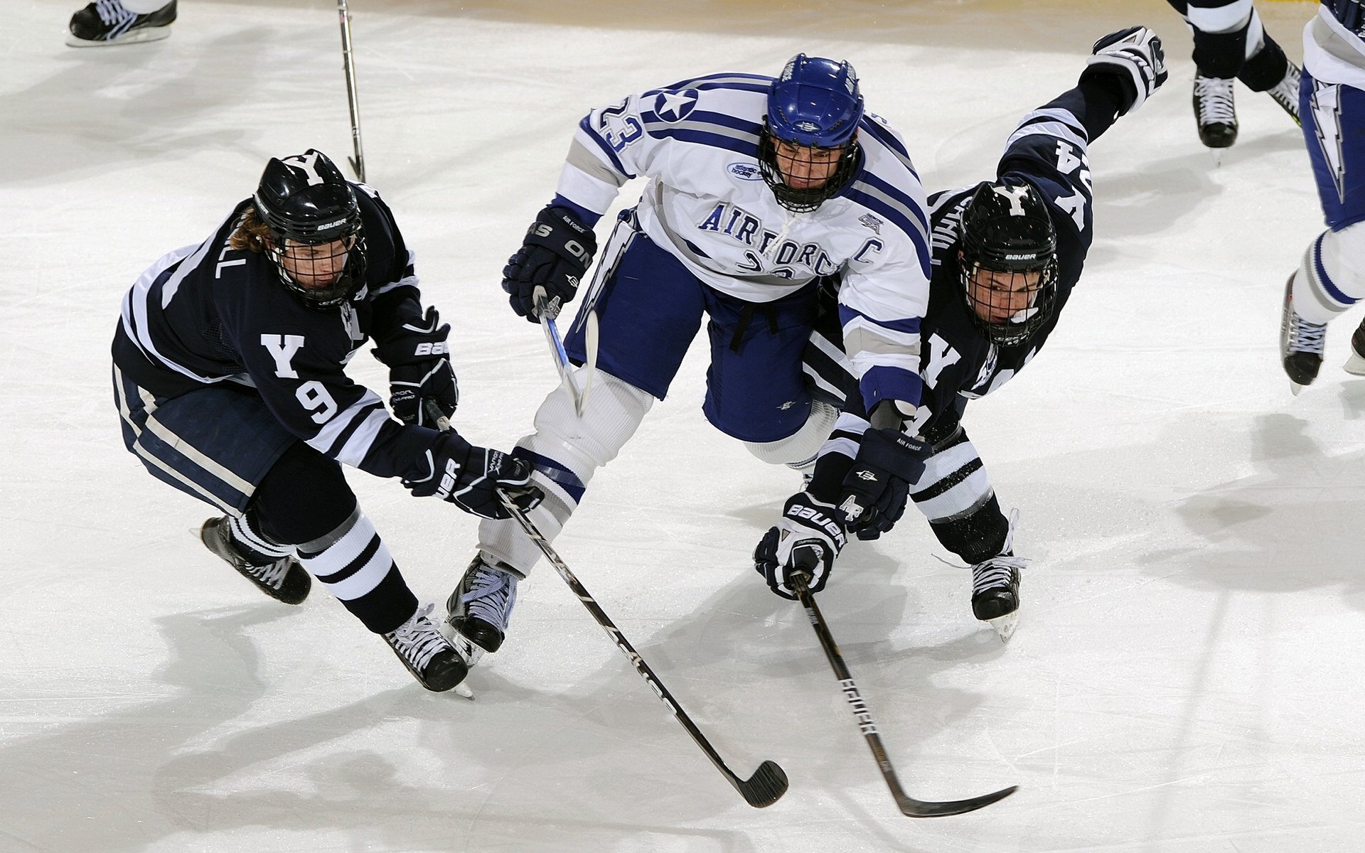 世界桥牌2026年数据中心启用 实时公开各大赛牌型统计